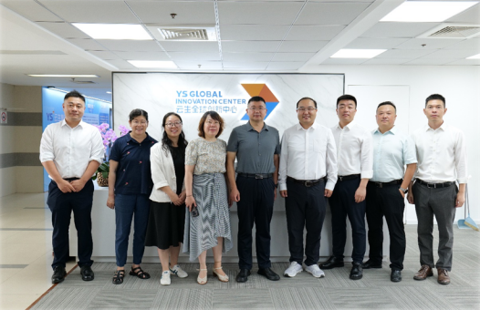 南京市秦淮区委常委、副区长黄琰一行莅临嘉联汇智全球创新中心调研走访