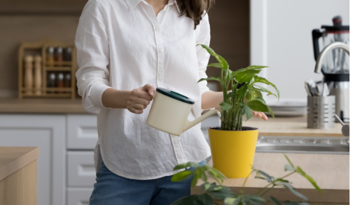 {14E68F02-6746-4268-AE3C-FDD91D2761C3}.png {14E68F02-6746-4268-AE3C-FDD91D2761C3}.png